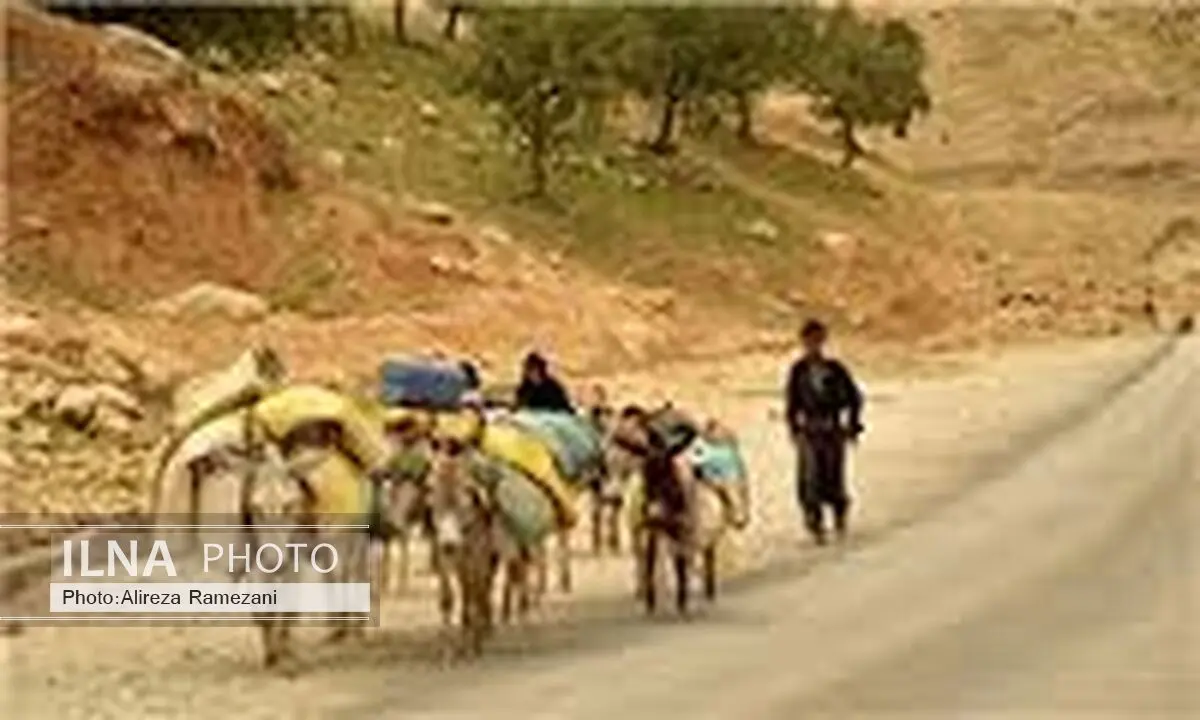 صدور ۶۰۰ کارت شناسایی سرپرست خانوار برای عشایر استان تهران