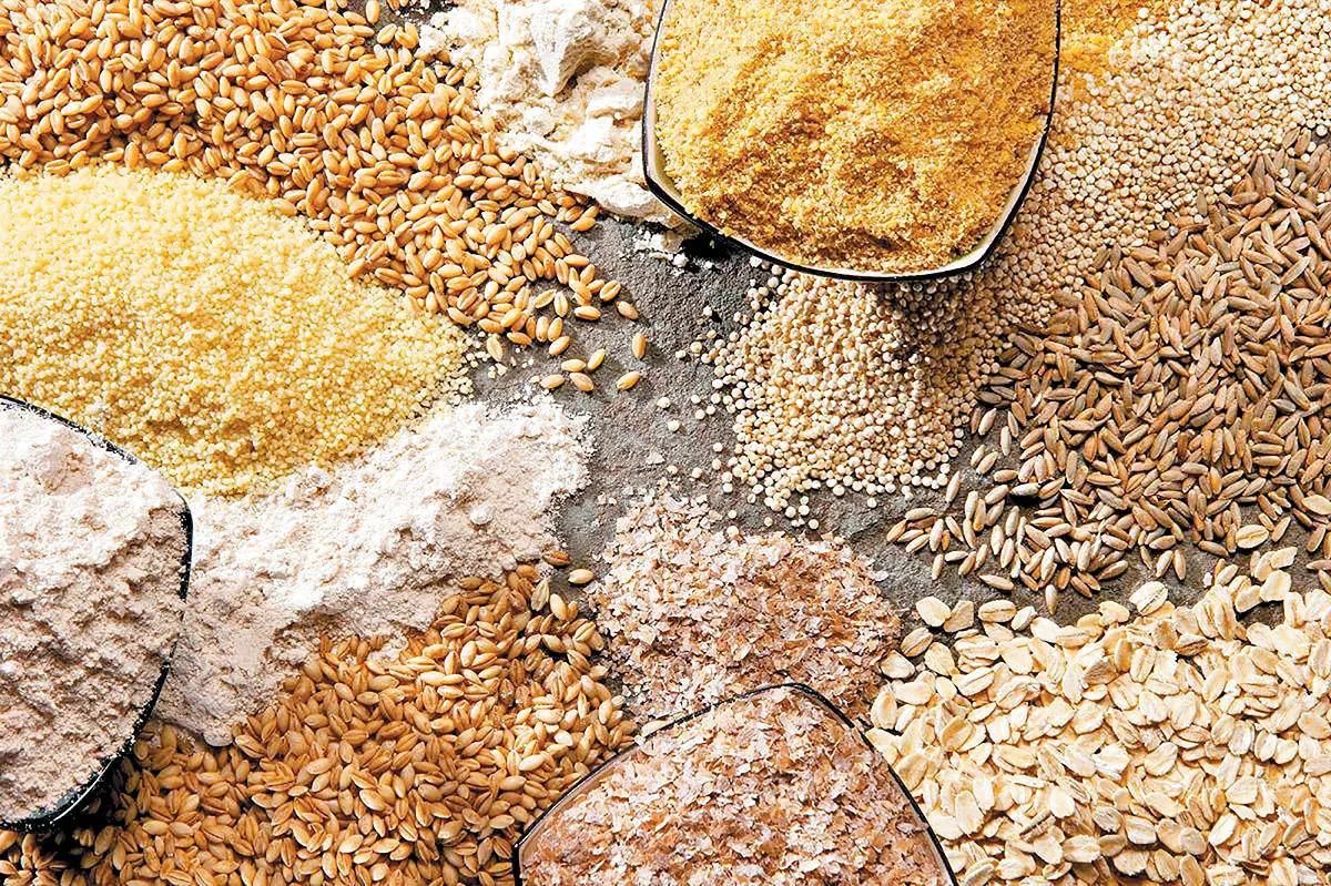 آغاز ثبت سفارش جدید دانه‌های روغنی و کنجاله از ۱۲ آبان