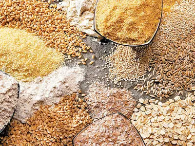 آغاز ثبت سفارش جدید دانه‌های روغنی و کنجاله از ۱۲ آبان