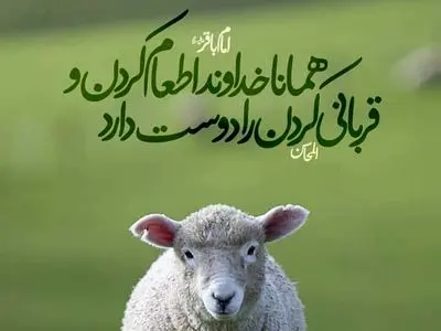 asdasd