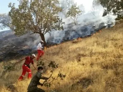 آتش سوزى جنگل هاى اژگیل ایذه مهار شد