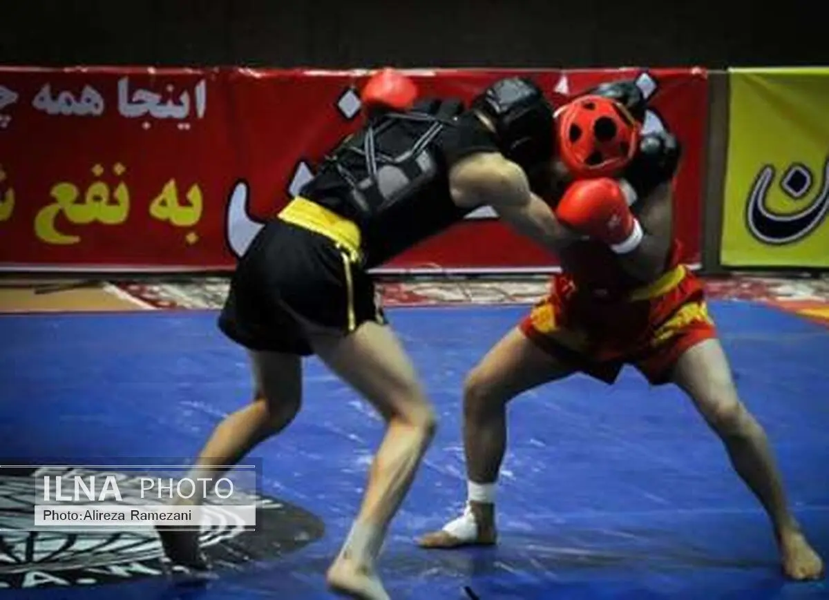 رضایی‌منش به کادرفنی تیم ملی ووشو اضافه شد