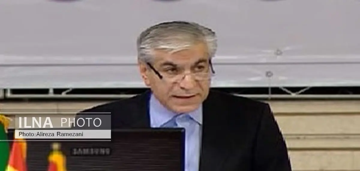 عادلی: دنبال تامین اساسنامه‌سازمان و تامین منافع کشورهای عضو هستیم