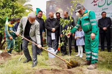 ​شیراز در مسیر گسترش کمربند سبز شهری با کاشت ۷۰۰ هزار نهال