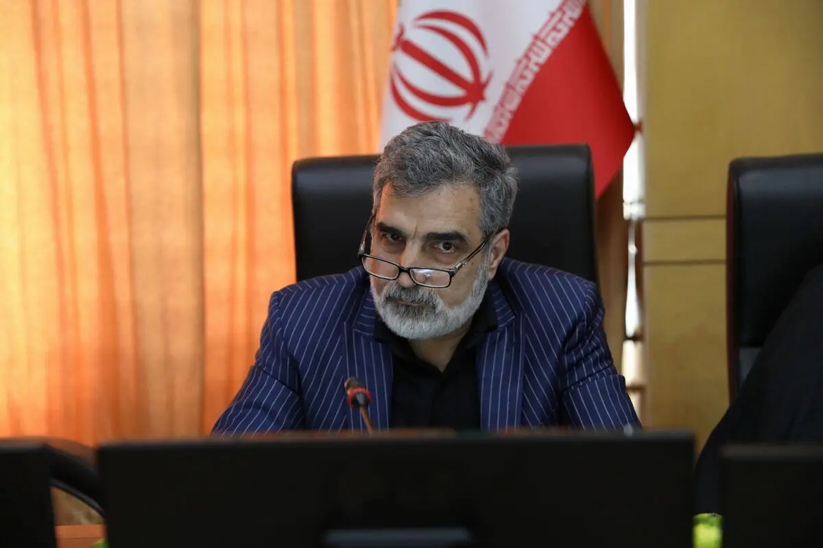 واکنش کمالوندی به صدور احتمالی قطعنامه ضدایرانی شورای حکام/
اقدام در برابر اقدام، همکاری در مقابل همکاری