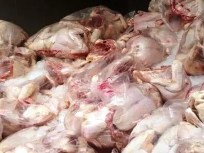  ذبح و بسته‌بندی غیربهداشتی گوشت مرغ در یک واحد مسکونی