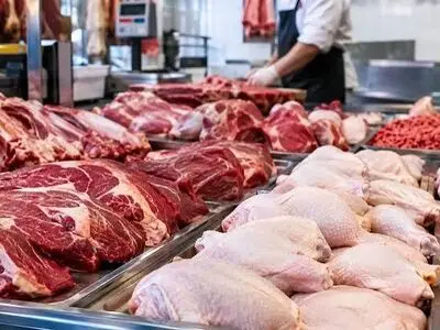 استان مرکزی در زمره 6 استان برتر کشور در ذخیره‌سازی گوشت قرمز و سفید