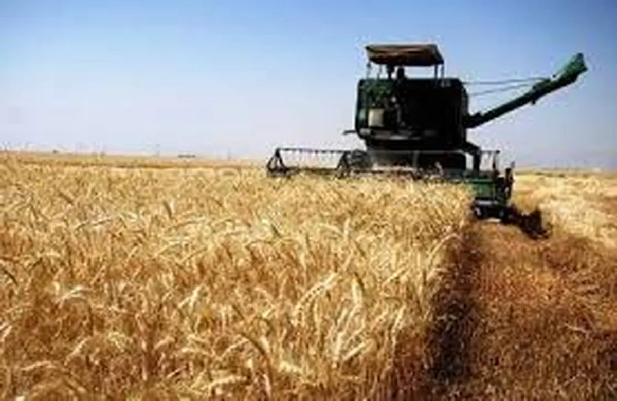مشتریات إیران من القمح المحلی تقترب من 9 ملایین طن
