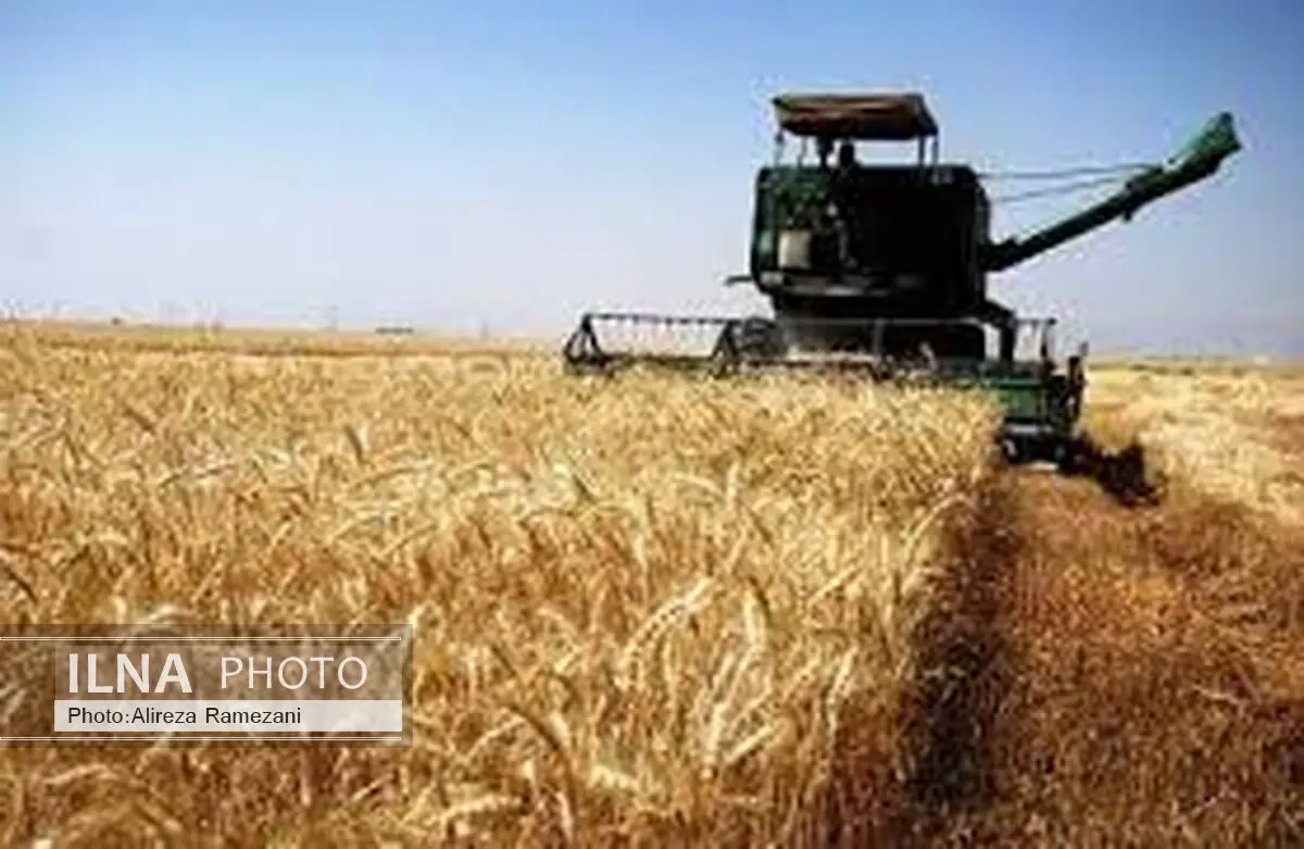 مصرف جهانی غذا رو به افزایش است