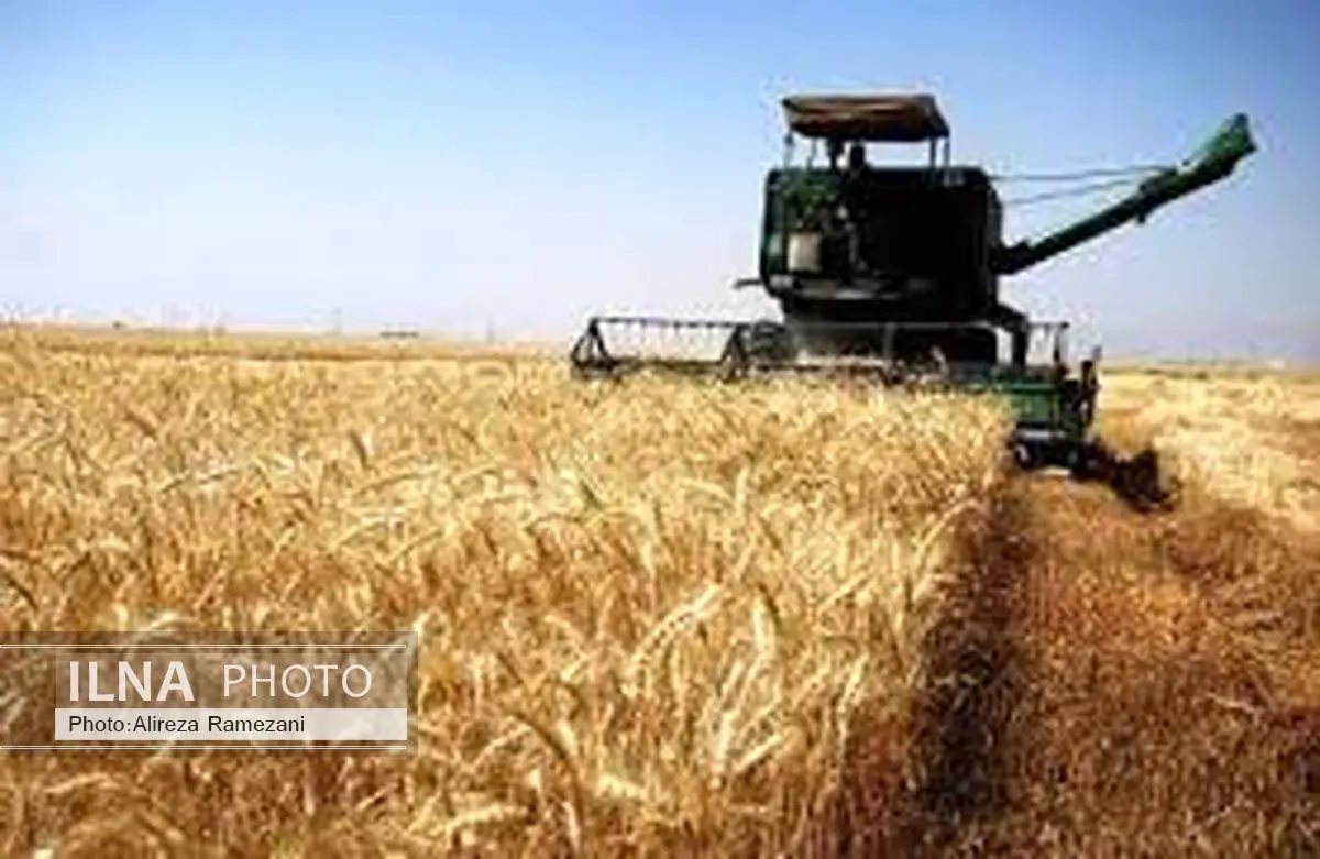 مصرف جهانی غذا رو به افزایش است