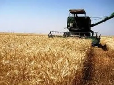مشتریات إیران من القمح المحلی تقترب من 9 ملایین طن