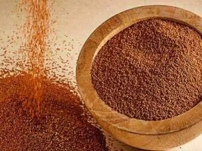 فواید قابل توجه خاکشیر برای پوست و مو