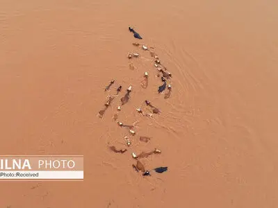 برترین عکس های هوایی سال 2019