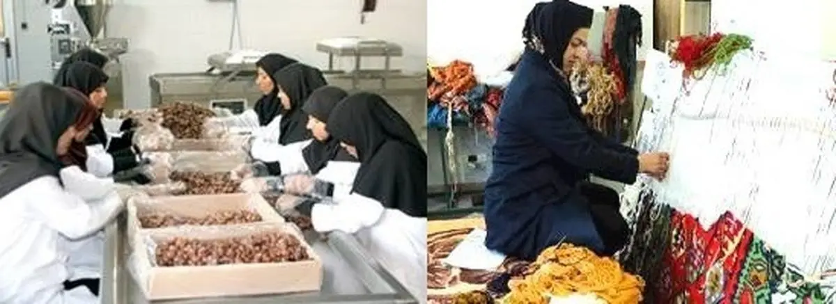 اشتغال بیش از ۲۱ هزار نفر در سامانه رصد در گیلان ثبت شد