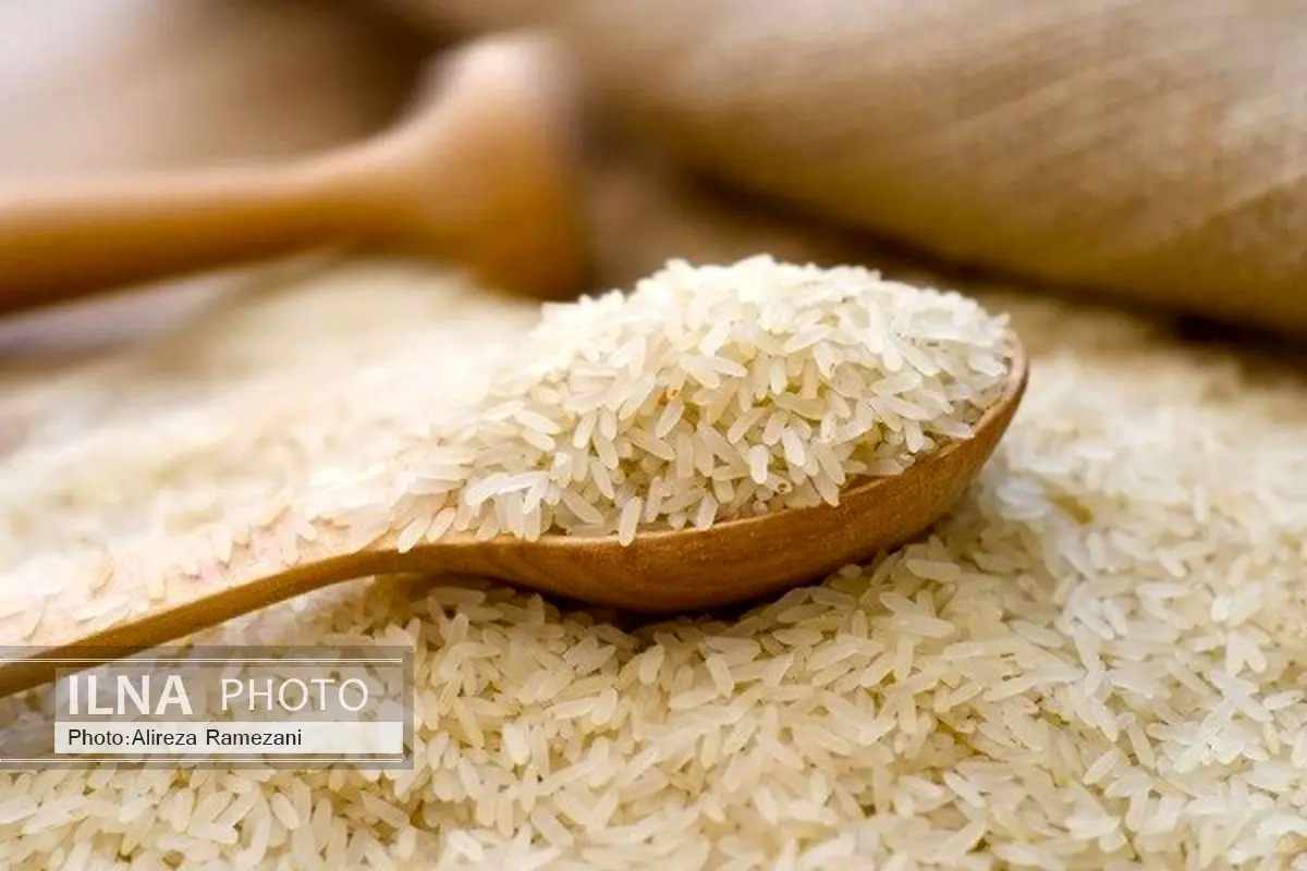 60 تا 70 درصد برنج وارداتی از طریق قاچاق وارد کشور میشود