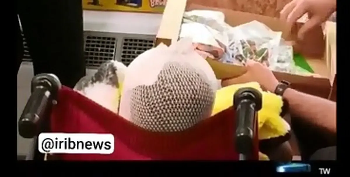 تصاویری از کیان برادر رایان کوچکترین شهید ایران؛ کودک ۵ سالهای که دستهایش از سوختگی توان ندارند