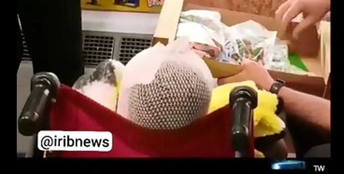 تصاویری از کیان برادر رایان کوچکترین شهید ایران؛ کودک ۵ ساله‌ای که دست‌هایش از سوختگی توان ندارند 