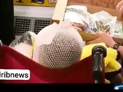 تصاویری از کیان برادر رایان کوچکترین شهید ایران؛ کودک ۵ ساله‌ای که دست‌هایش از سوختگی توان ندارند 