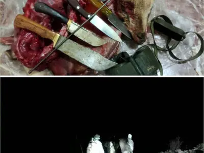 متخلفان شکار حیات‌وحش و کشف لاشه کل وحشی در منطقه حفاظت‌ شده قیصری چهارمحال و بختیاری دستگیر شدند