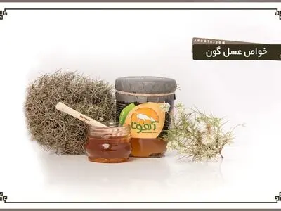 عسل گون چیست؟ ۱۴ خواص عسل گون برای سلامتی