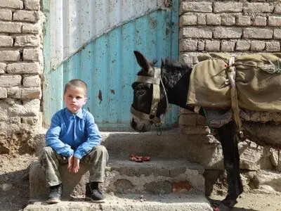 «وقت جیغ انار» به جشنواره‌ فیلم ملبورن راه یافت