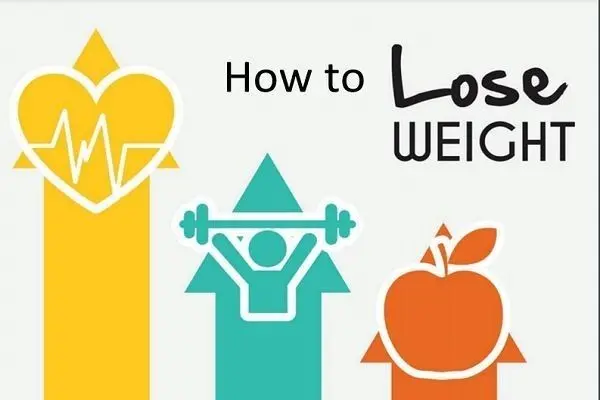 How to lose weight book download pdf