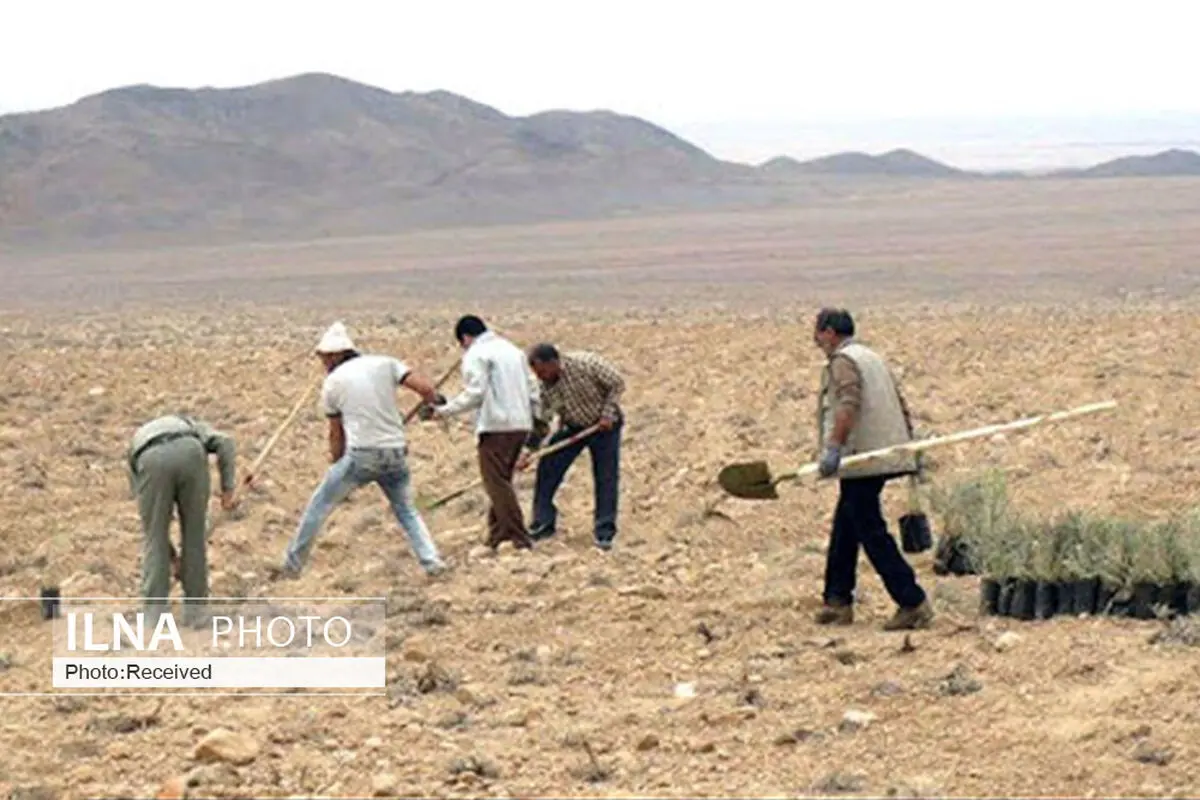 انجام عملیات بیابان زدایی در هفت هزار و 400 هکتار از اراضی قزوین