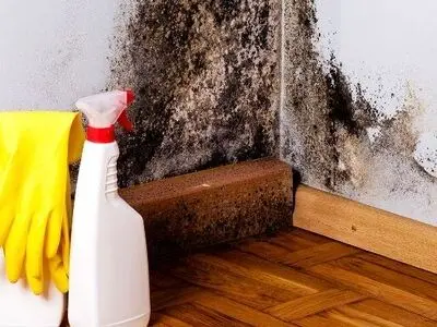 کپک ها رو هرگز با این ماده پاک نکنید