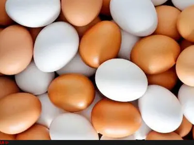 11 هزار و 900 تومان قیمت واقعی تخم مرغ است/ مسکوت گذاشتن لغو قانون انتزاع به نفع تولید است