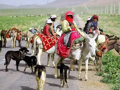 کوچ 90 درصدی عشایر آذربایجان غربی در داخل استان