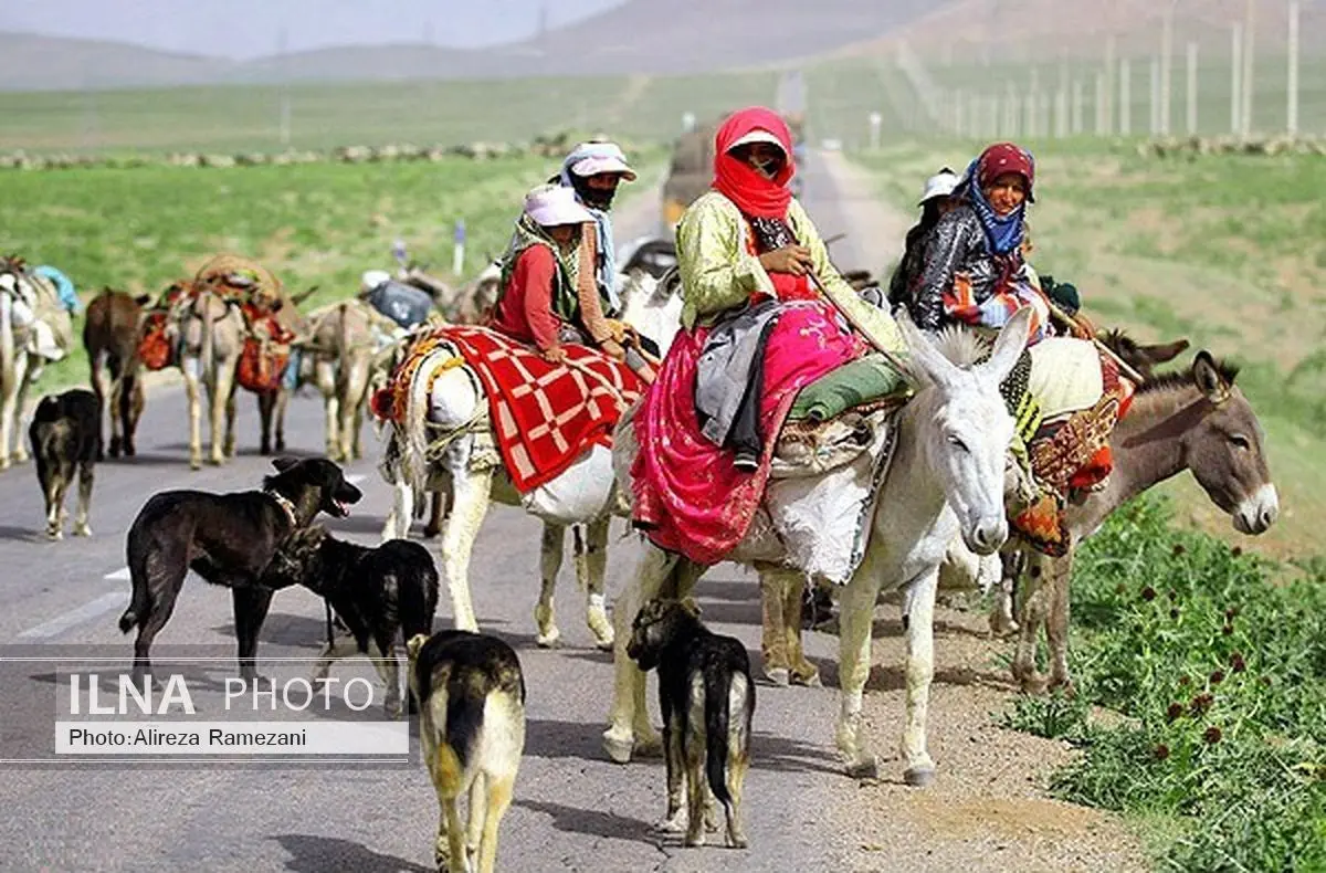 کوچ 90 درصدی عشایر آذربایجان غربی در داخل استان