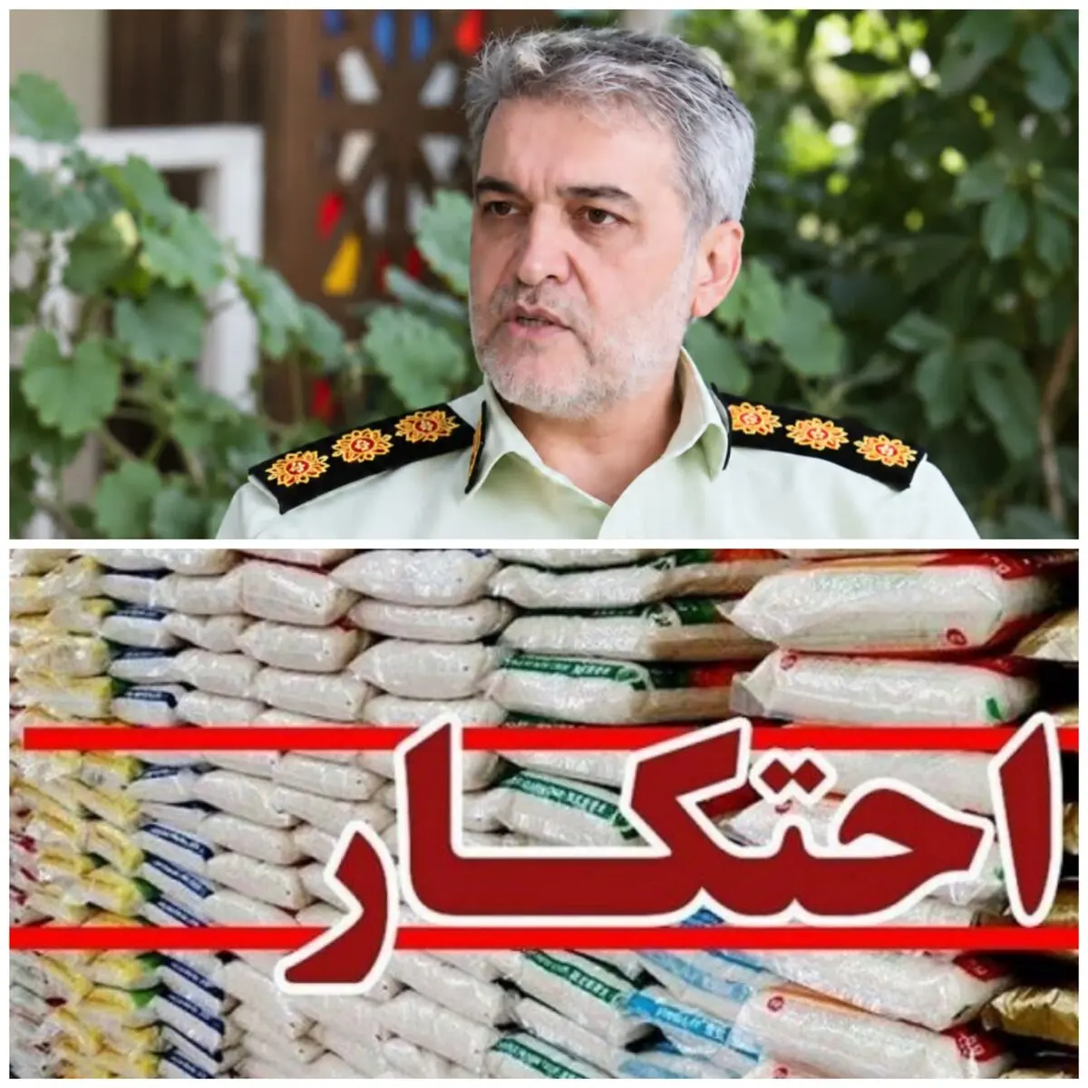 ۲۵۰ تُن برنج طارم ثبت‌نشده به ارزش هزار میلیارد ریال در بابلسر کشف و ضبط شد