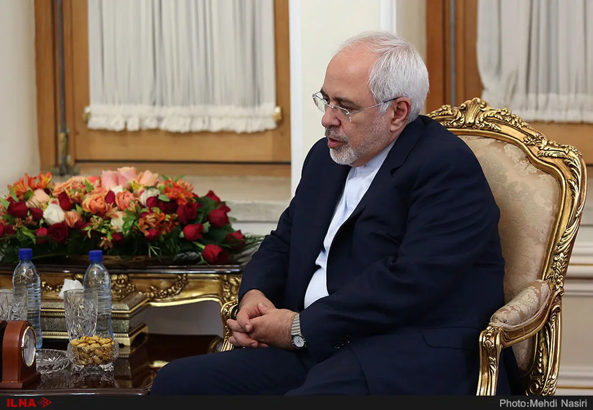 ظریف با وزرای خارجه اسلوونی و دانمارک دیدار کرد