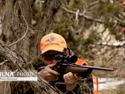 هنوز تصمیمی برای صدور پروانه شکار به دلیل "شیوع کرونا" گرفته نشده است