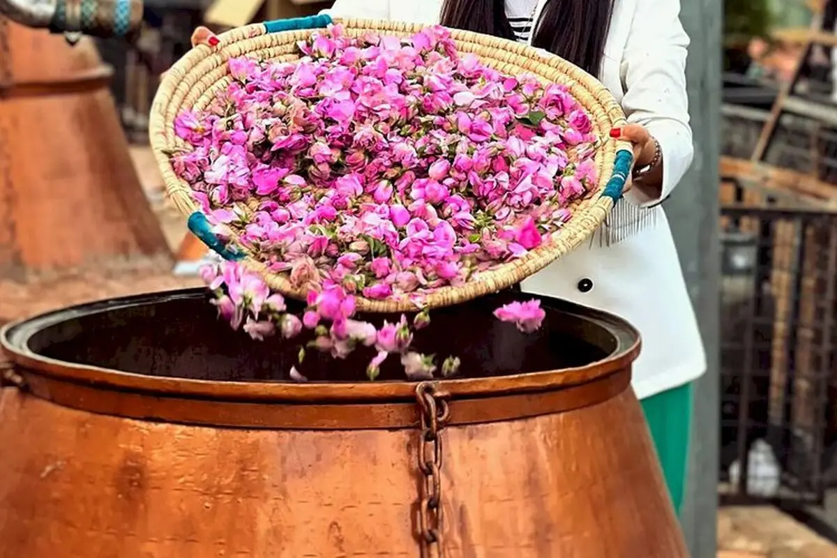 پرونده ثبت جهانی میراث ناملموس گلاب‌گیری سنتی ایران به یونسکو ارسال شد/ پیگیری چند ملیتی پرونده جشن مهرگان و ساز رباب