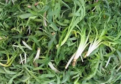 بازار داغ فروش گیاهان بهاری در آذربایجان غربی / بیش از ۶۰ گونه گیاه دارویی در معرض انقراض است