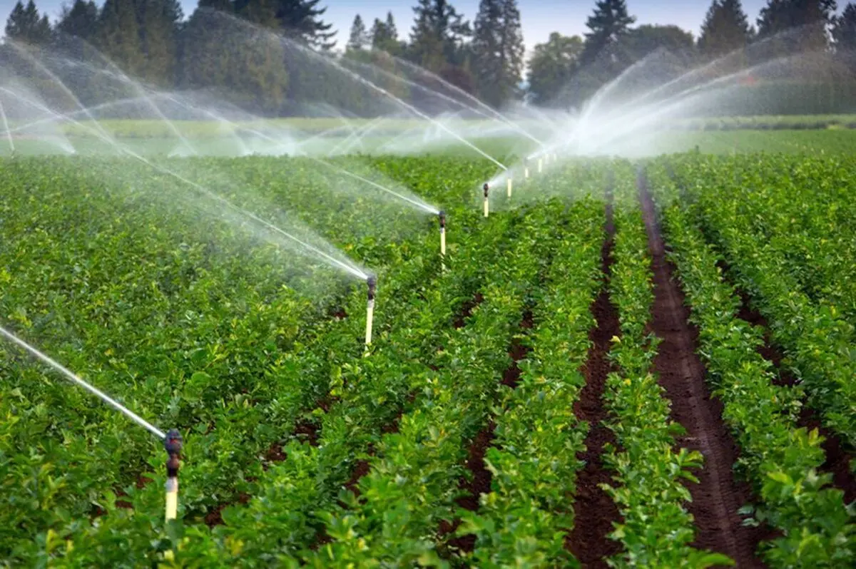 اجرای بیش از ۶۷۰ میلیارد ریال عملیات زیر بنایی در بخش آب‌ و خاک