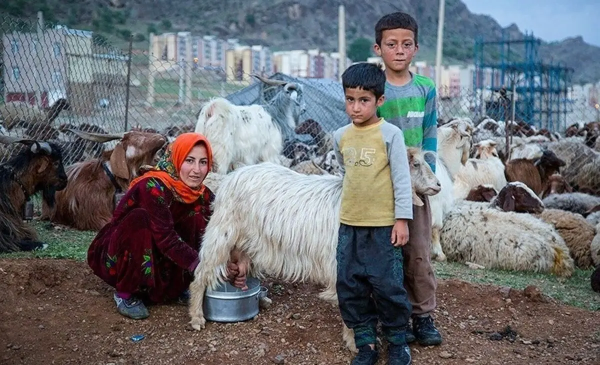 کرونا کوچ بهاره عشایر خراسان رضوی را به تاخیر انداخت