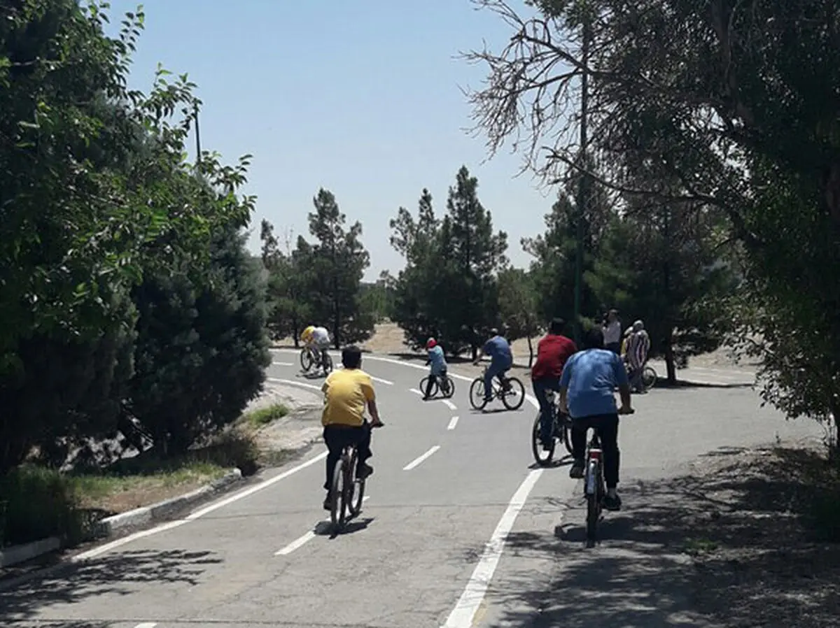 باغستانی: هزاران نفر از بانوان منزوی و خانه نشین هستند
