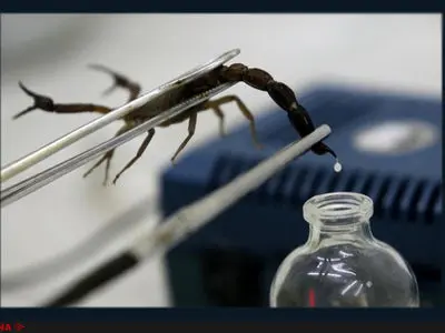 «بمب عقرب»، سلاحی عجیب برای کشتار