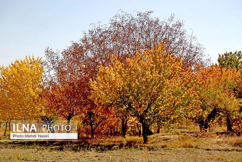  طبیعت پاییزی روستای سرسختی علیا