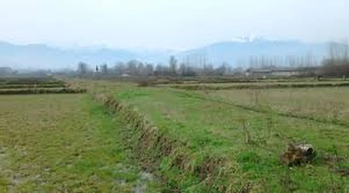 اطلاعیه سازمان امور اراضی کشور در زمینه ممنوعیت ساخت و ساز بدون مجوز در زمین‌های کشاورزی
