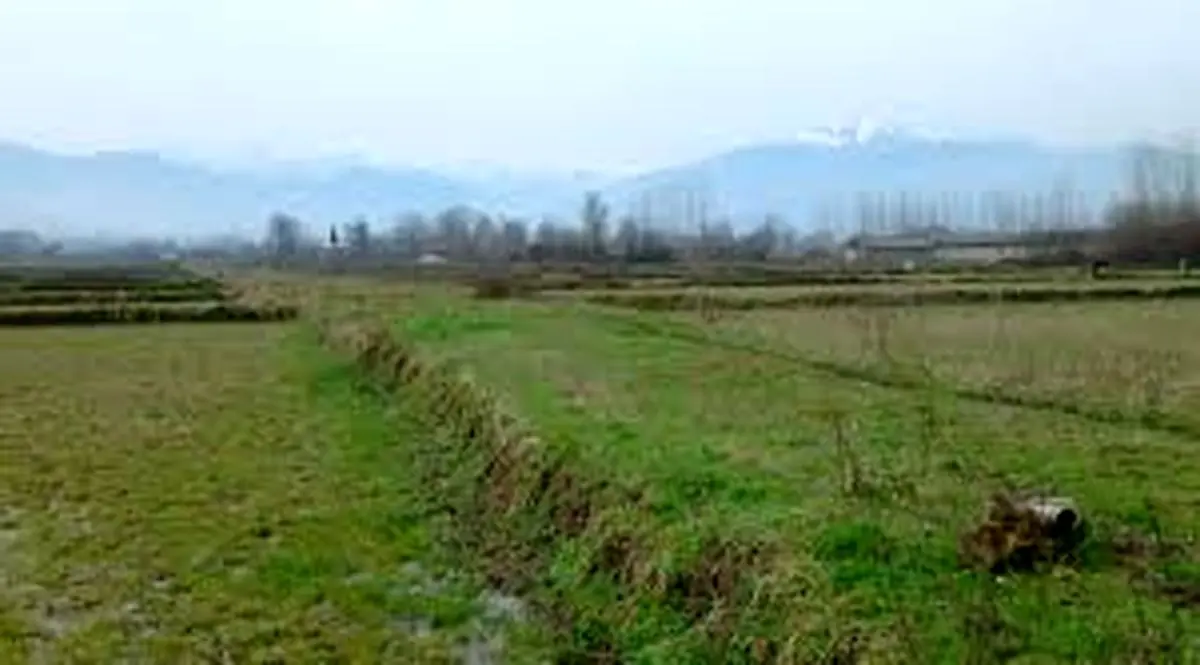 اطلاعیه سازمان امور اراضی کشور در زمینه ممنوعیت ساخت و ساز بدون مجوز در زمینهای کشاورزی