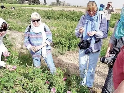 هم افزایی بین دستگاهی برای تسهیل در صدور مجوز‌های گردشگری کشاورزی ضروری است / گردشگری کشاورزی به اشتغالزایی در روستاها کمک می‌کند