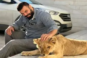 توله شیر باغ وحش ارم تلف شد/شکایت محیط زیست تهران از باغ‌ وحش