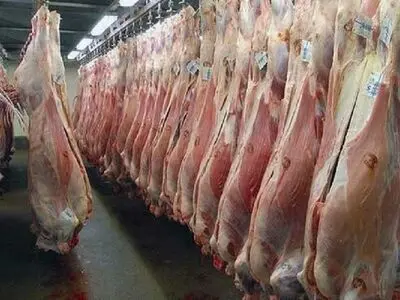 استان سمنان در جایگاه دوم کشوری نذر قربانی