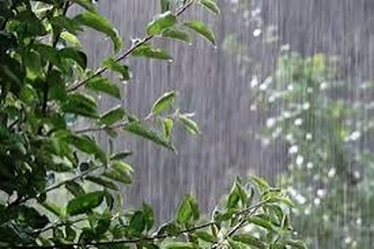 باد و باران در نیمی از کشور / کاهش کیفیت هوا در استان های غربی