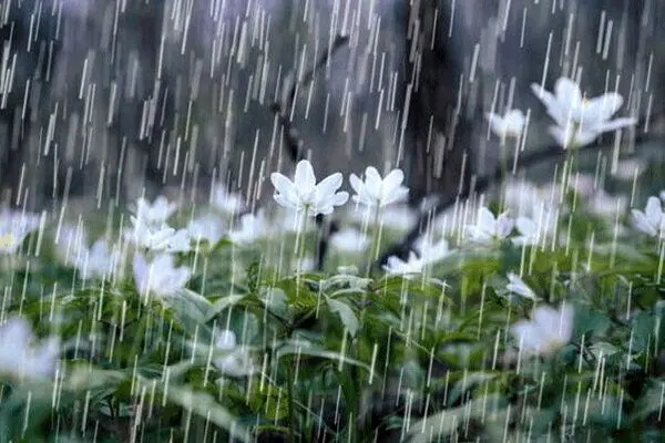 تداوم بارش باران در گیلان