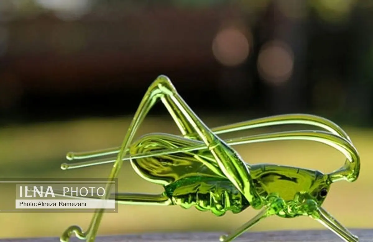 حشراتی از جنس شیشه + تصاویر 