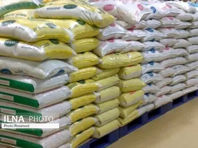 تامین برنج کشور به اندازه کافی/ واردات کاهش می‌یابد